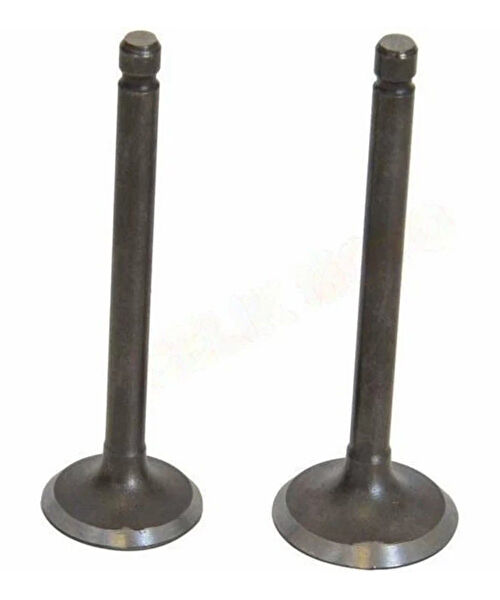 Msr Krank, Piston ve Contalar