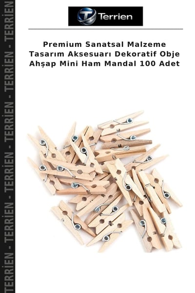Terrien Ataş, Toplu İğne, Raptiye, Mandal