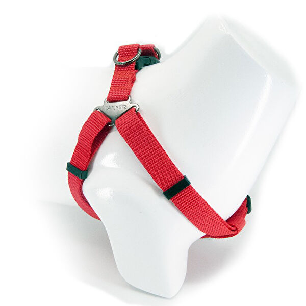 TailPetz Köpek Tasmaları