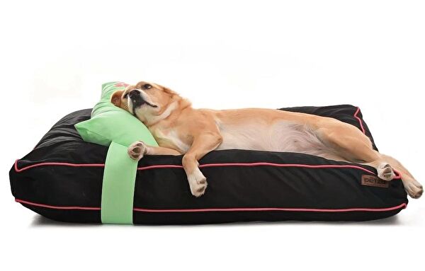 Petza Köpek Yatağı