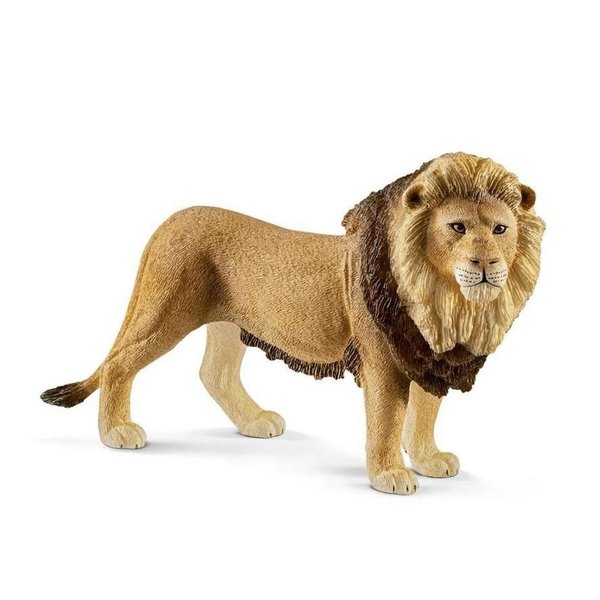 TOYFEST Eğitici Oyuncaklar