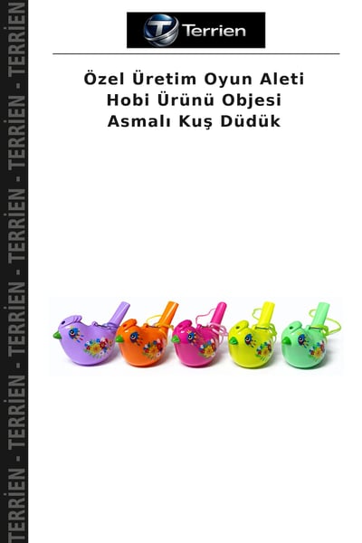 Terrien Eğitici Oyuncaklar
