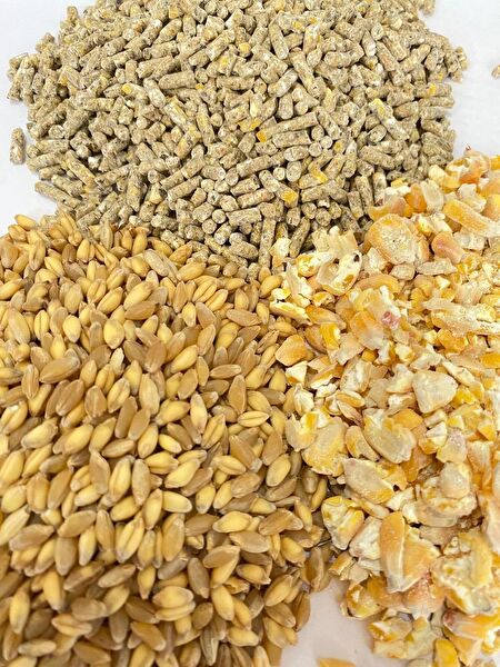 Şenler Zahire Kuş Yemi, Kraker