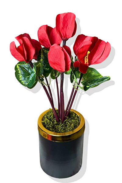 CİHAN ÇİÇEKÇİLİK Yapay Çiçek, Meyve