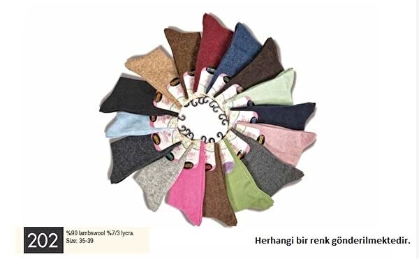 Beruflic Kadın Çorap