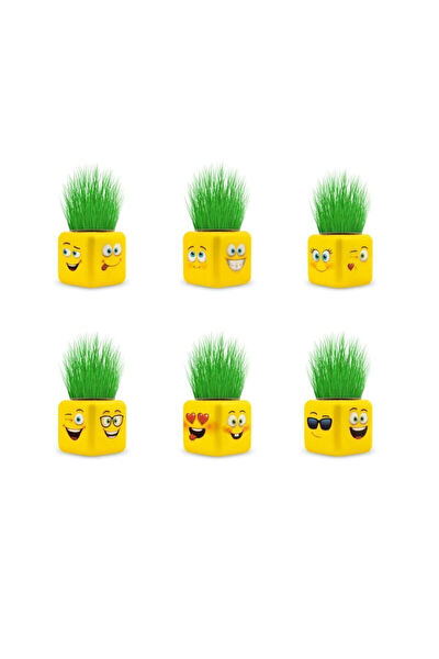 AMALFİ Eğitici Oyuncaklar