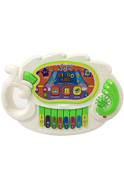 AMALFİ Eğitici Oyuncaklar