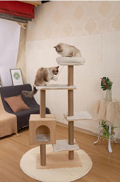 RAIKOU EUROPE Kedi Tırmalama