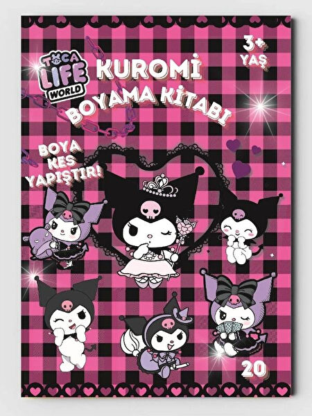 ZNC Resim Defteri, Kağıtları