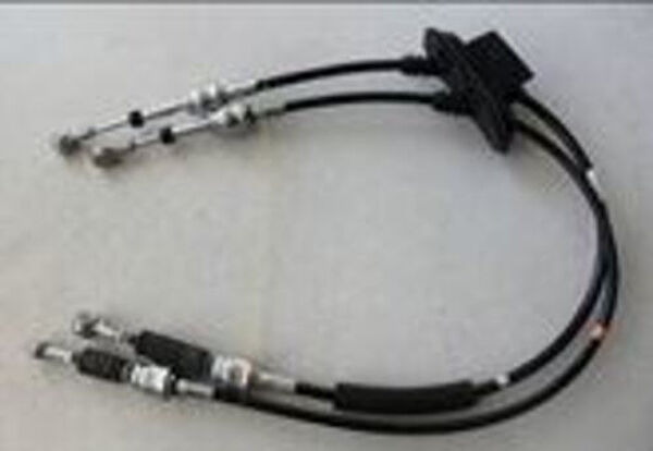 Zenon Vites Ekipmanları