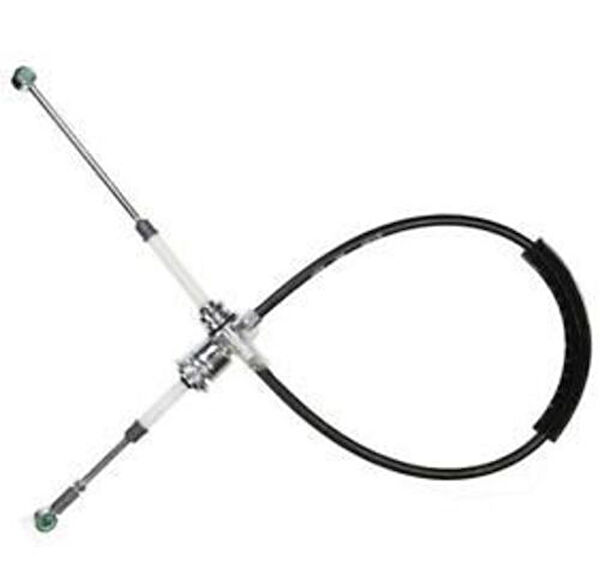 Zenon Vites Ekipmanları