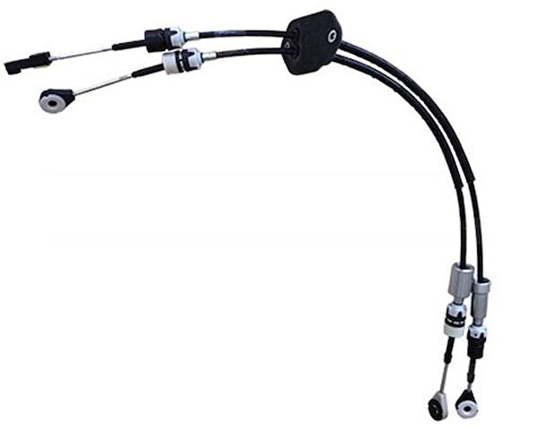 Zenon Vites Ekipmanları