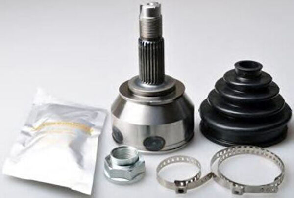 Zenon Aks Körük & Kafası