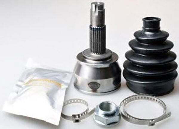 Zenon Aks Körük & Kafası