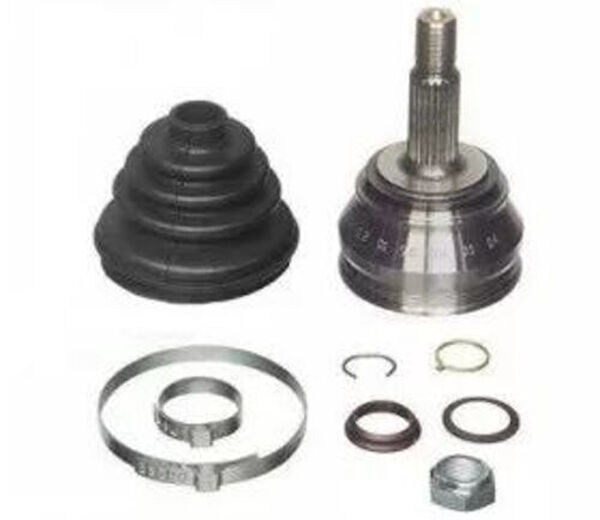 Zenon Aks Körük & Kafası