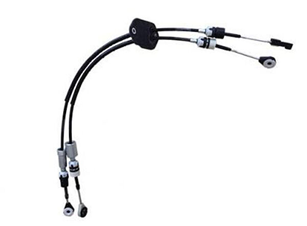 Zenon Vites Ekipmanları