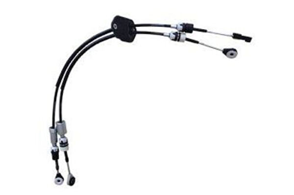 Zenon Vites Ekipmanları