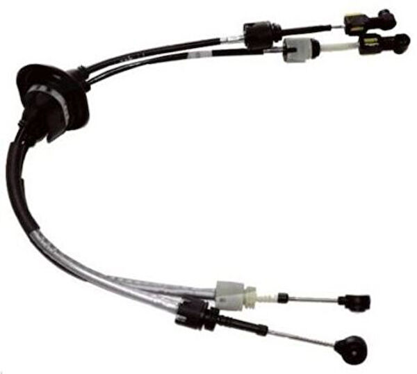 Zenon Vites Ekipmanları