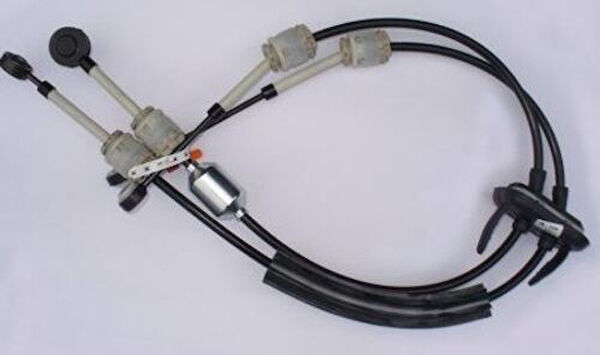 Zenon Vites Ekipmanları