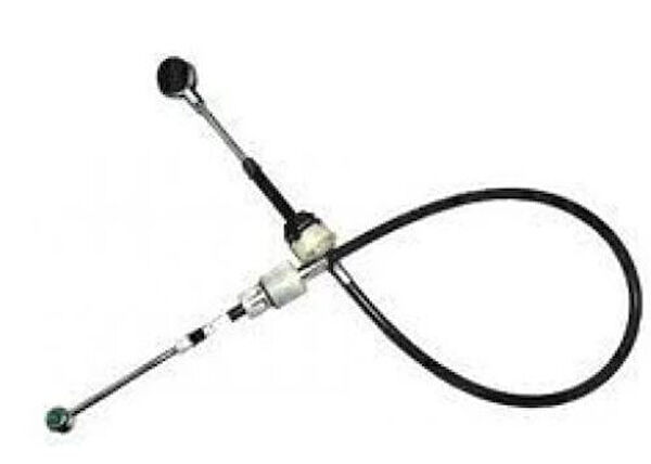 Zenon Vites Ekipmanları