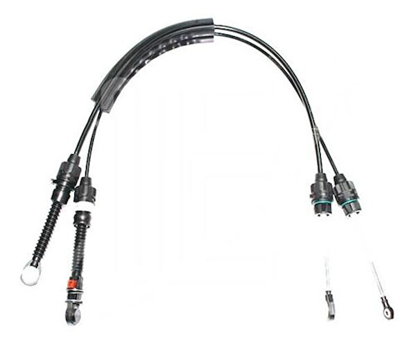 Zenon Vites Ekipmanları