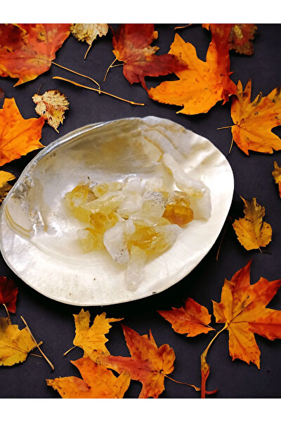 Zodyak Doğal Taş Dekoratif Obje, Biblo, Figür