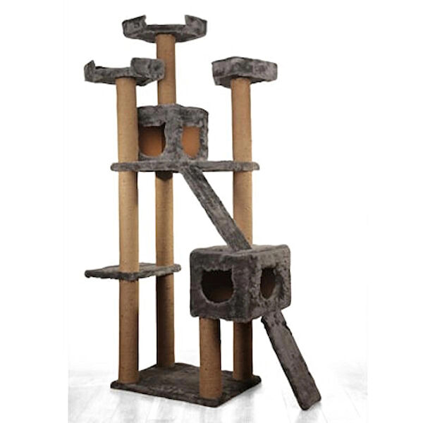 Miss Kedi Tırmalama