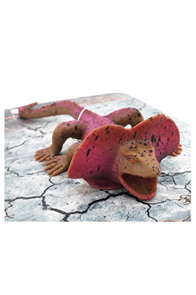 GÜLCE DESİGN Eğitici Oyuncaklar