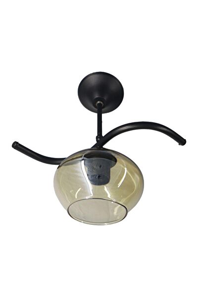 Mutu Ticaret Avize, Sarkıt