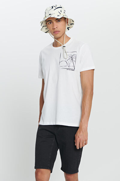 AC&Co / Altınyıldız Classics Erkek Tişört