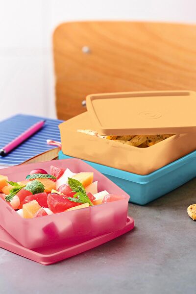 Tupperware Saklama Kabı