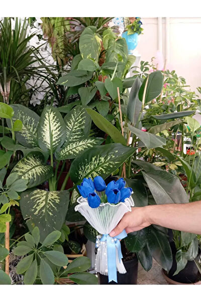 Vizyon Çiçek Yapay Çiçek, Meyve