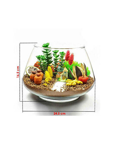 Patipera Teraryum, Teraryum Aksesuarları