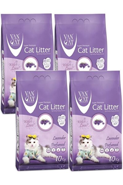 Vancat Kedi Kumları