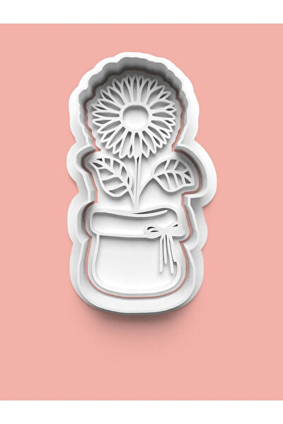 Aktastore Kurabiye, Çikolata Kalıbı