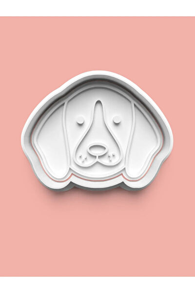 Aktastore Kurabiye, Çikolata Kalıbı