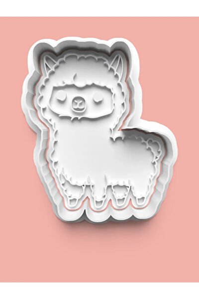 Aktastore Kurabiye, Çikolata Kalıbı