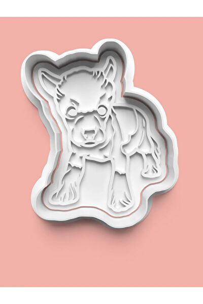 Aktastore Kurabiye, Çikolata Kalıbı