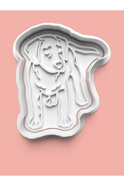 Aktastore Kurabiye, Çikolata Kalıbı