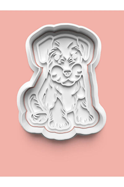 Aktastore Kurabiye, Çikolata Kalıbı