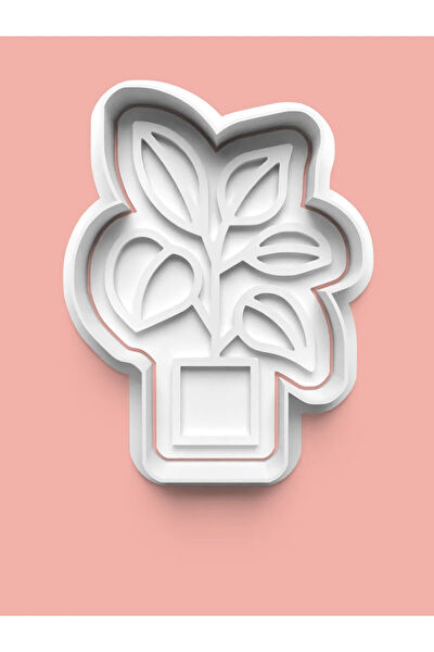 Aktastore Kurabiye, Çikolata Kalıbı