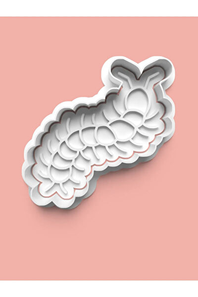 Aktastore Kurabiye, Çikolata Kalıbı