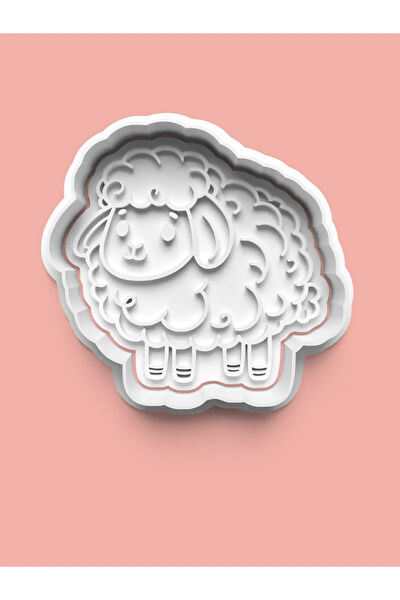 Aktastore Kurabiye, Çikolata Kalıbı