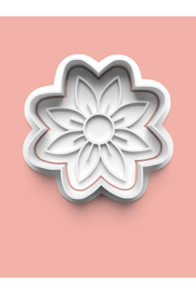 Aktastore Kurabiye, Çikolata Kalıbı