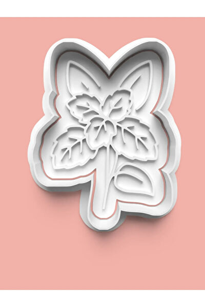 Aktastore Kurabiye, Çikolata Kalıbı