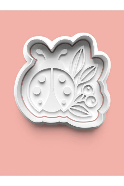 Aktastore Kurabiye, Çikolata Kalıbı