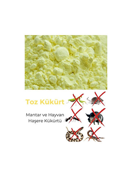 Altın Kükürt Torf ve Toprak