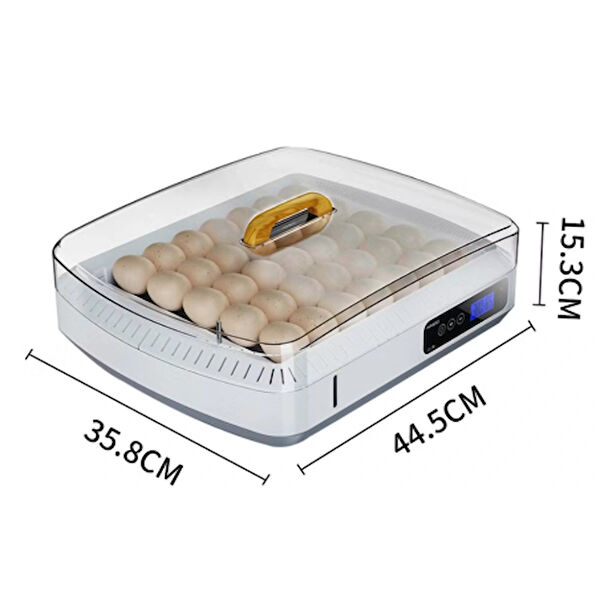 Kümesçi Kümes Hayvancılığı