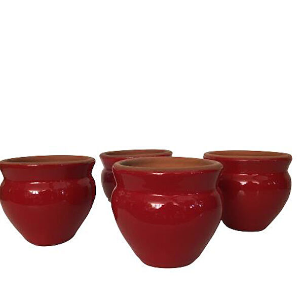 Armen Botanik İç Mekan Bitkileri