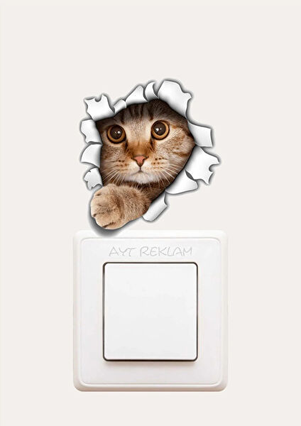 Ayt Sticker Etiket, Sticker